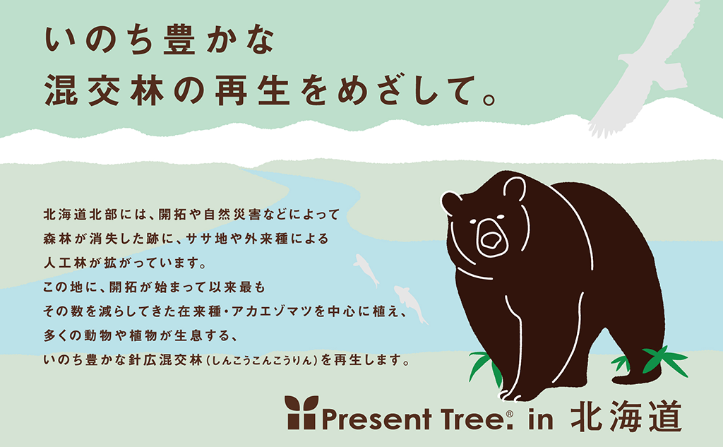 Present Tree｜植樹ギフトセット（北海道大学研究林）